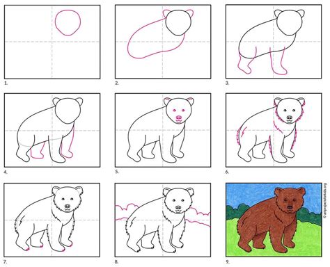 how to draw a bear for kids.